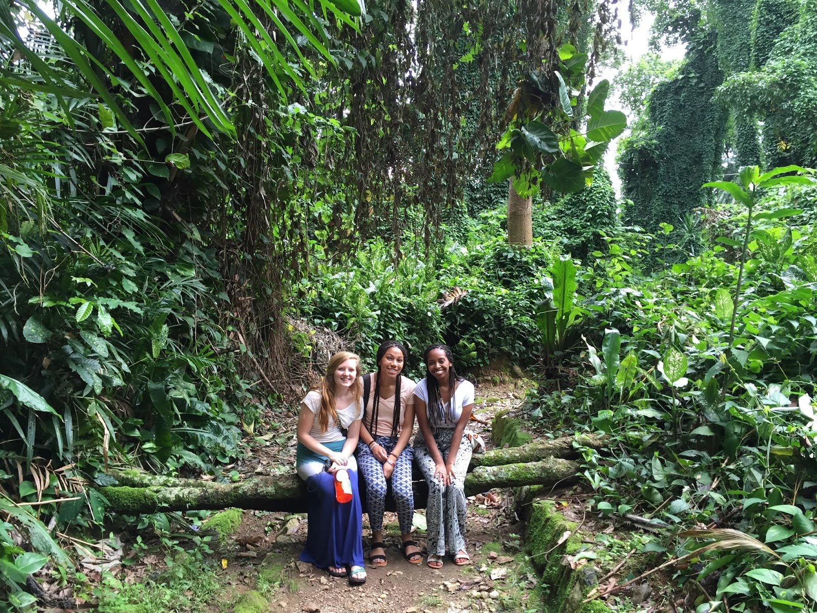 Botanical gardens and tropical vegetation